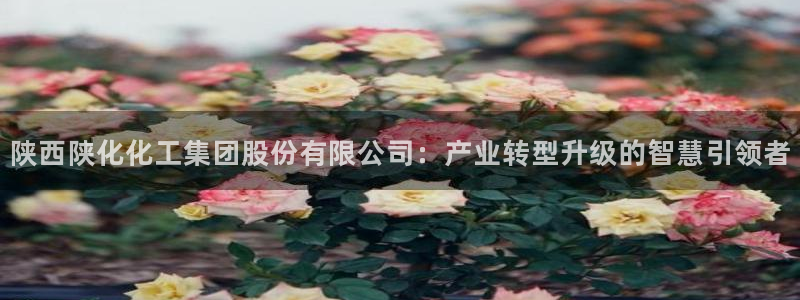 球盟会有没有黑单的球员：陕西陕化化工集团股份有限公司：产业转