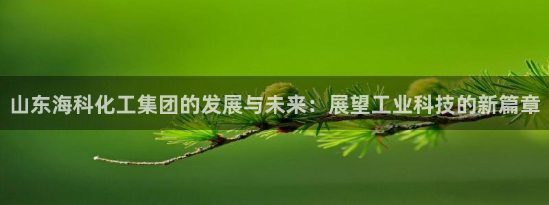 千亿球盟会乐玩：山东海科化工集团的发展与未来：展望工业科技的
