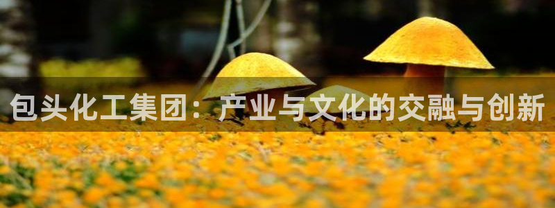 球盟会黑台子吗：包头化工集团：产业与文化的交融与创新
