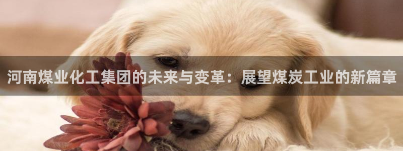 球盟会贴吧：河南煤业化工集团的未来与变革：展望煤炭工业的新篇