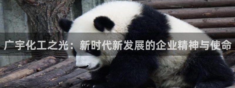 球盟会在线登入：广宇化工之光：新时代新发展的企业精神与使命