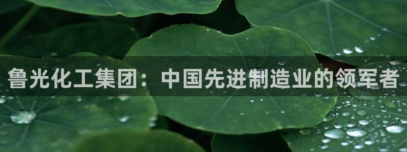 球盟会有没有黑单的球员：鲁光化工集团：中国先进制造业的领军者