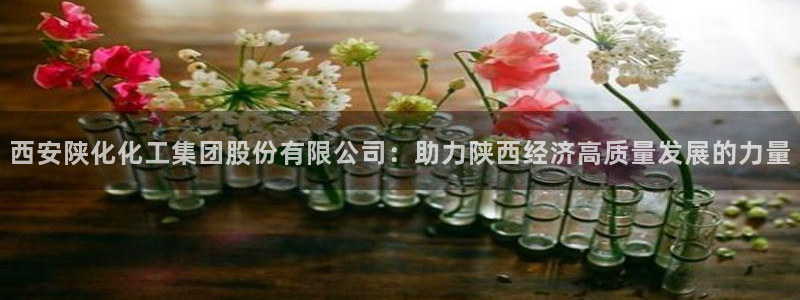 球盟会官方app首页入口：西安陕化化工集团股份有限公司：助力