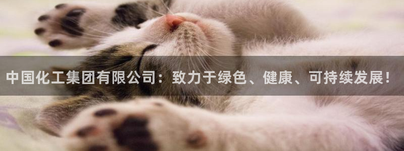 球盟会官方网站app：中国化工集团有限公司：致力于绿色、健康