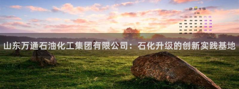 球盟会下载最新版：山东万通石油化工集团有限公司：石化升级的创