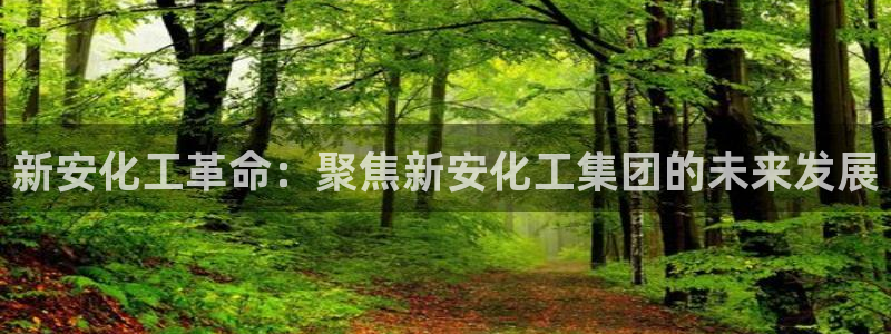 球盟会黑嘛：新安化工革命：聚焦新安化工集团的未来发展