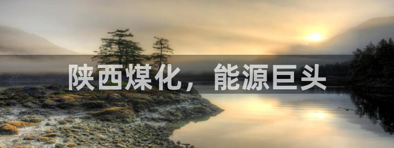 球盟会娱乐平台：陕西煤化，能源巨头