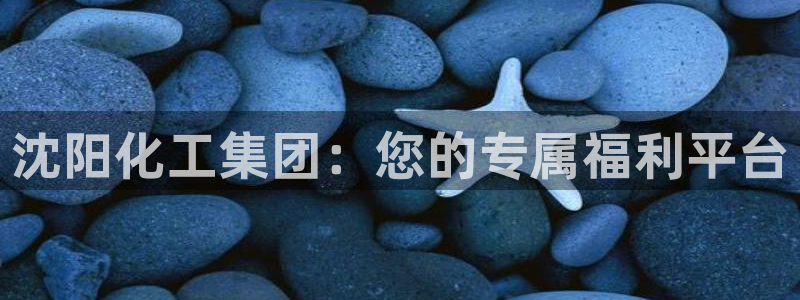 球盟会进不去：沈阳化工集团：您的专属福利平台