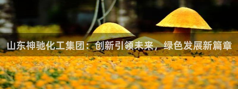 球盟会综合app下载：山东神驰化工集团：创新引领未来，绿色发