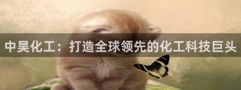 球盟会黑款吗知乎文章：中昊化工：打造全球领先的化工科技巨头
