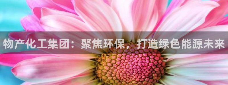 球盟会平台怎么样：物产化工集团：聚焦环保，打造绿色能源未来