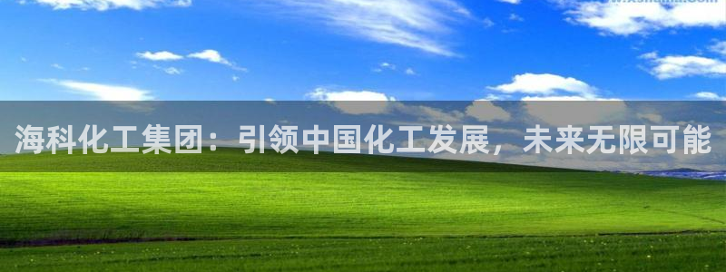 球盟会APP下载：海科化工集团：引领中国化工发展，未来无限可