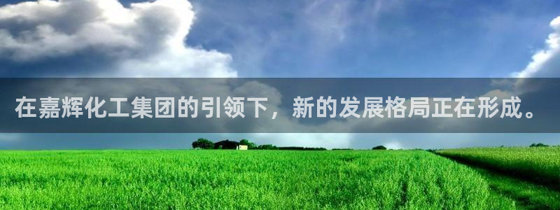 球盟会在线登录：在嘉辉化工集团的引领下，新的发展格局正在形成