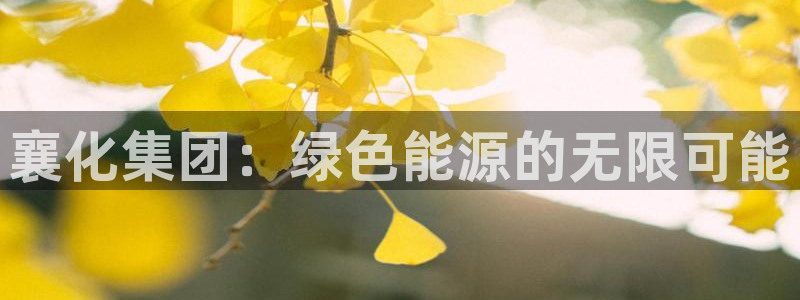 球盟会qmh登录地址：襄化集团：绿色能源的无限可能
