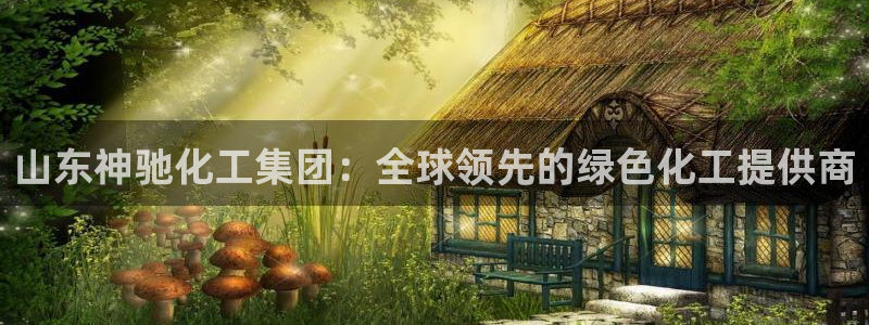 球盟会综合体育平台：山东神驰化工集团：全球领先的绿色化工提供