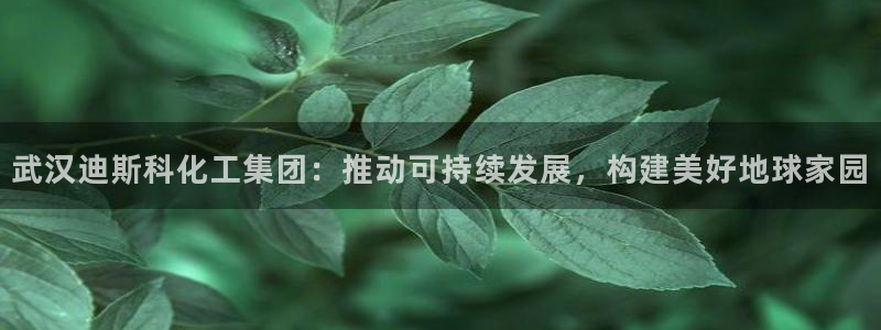 球盟会可以提现么现在：武汉迪斯科化工集团：推动可持续发展，构