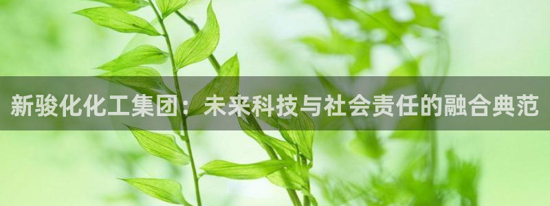 球盟会黑嘛：新骏化化工集团：未来科技与社会责任的融合典范