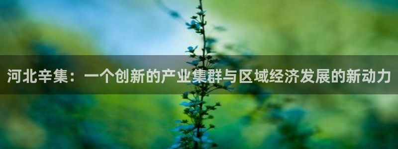 球盟会里面有打牌的嘛：河北辛集：一个创新的产业集群与区域经济