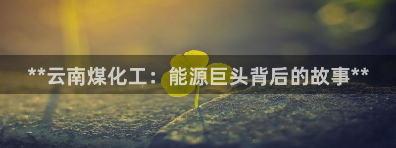 球盟会黑款吗知乎