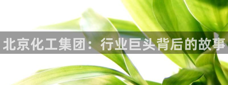 球盟会网页版