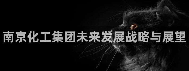 球盟会和中欧：南京化工集团未来发展战略与展望
