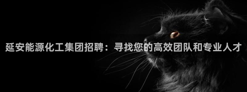 球盟会黑款吗知乎小说：延安能源化工集团招聘：寻找您的高效团队