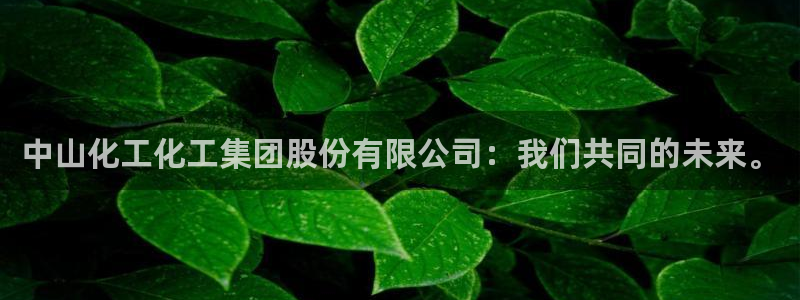 球盟会最新活动：中山化工化工集团股份有限公司：我们共同的未来