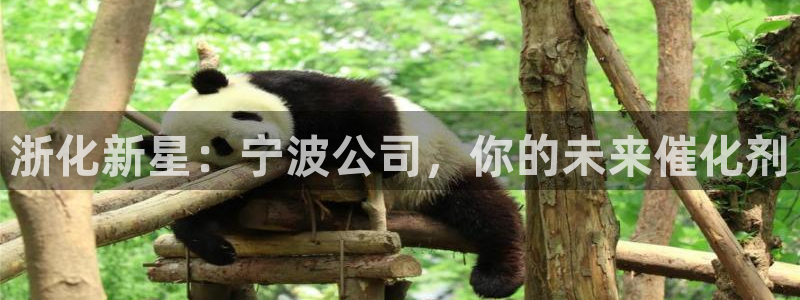 球盟会官方最新入口：浙化新星：宁波公司，你的未来催化剂