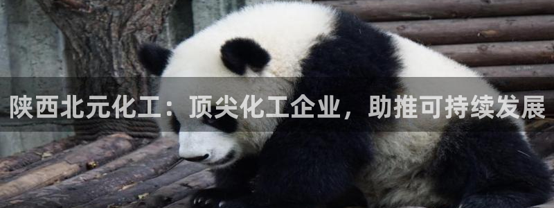 球盟会和中欧会的区别：陕西北元化工：顶尖化工企业，助推可持续