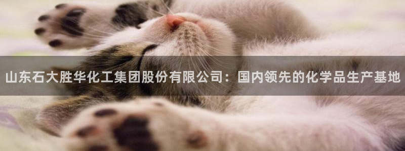 球盟会进不去球员吗：山东石大胜华化工集团股份有限公司：国内领