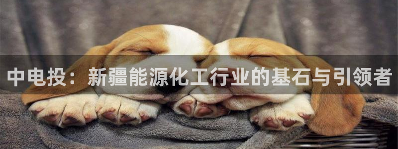 球盟会可以提现么现在：中电投：新疆能源化工行业的基石与引领者