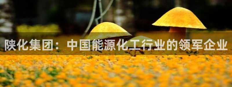 球盟会官方网站app：陕化集团：中国能源化工行业的领军企业