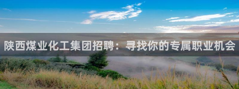 球盟会黑款吗是真的吗