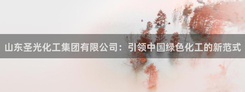 球盟会有没有黑单的：山东圣光化工集团有限公司：引领中国绿色化