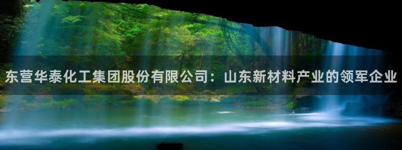 球盟会app安装：东营华泰化工集团股份有限公司：山东新材料产