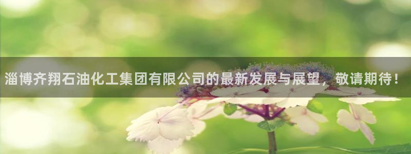 球盟会网页版登陆：淄博齐翔石油化工集团有限公司的最新发展与展