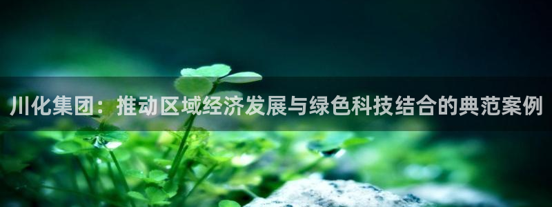 球盟会进不去球员吗：川化集团：推动区域经济发展与绿色科技结合