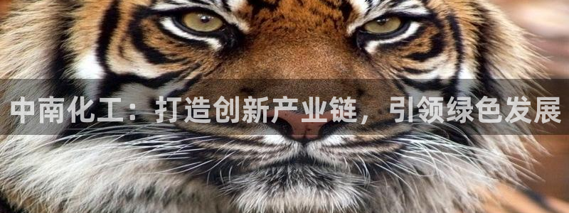 球盟会qm9：中南化工：打造创新产业链，引领绿色发展