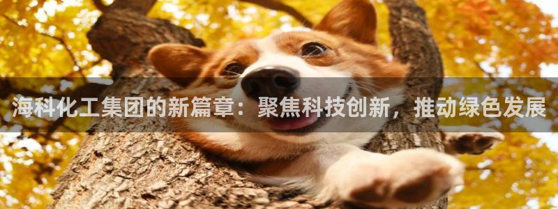球盟会游戏几点玩合适：海科化工集团的新篇章：聚焦科技创新，推