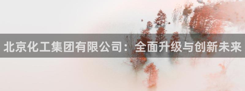 球盟会进不去球员吗：北京化工集团有限公司：全面升级与创新未来