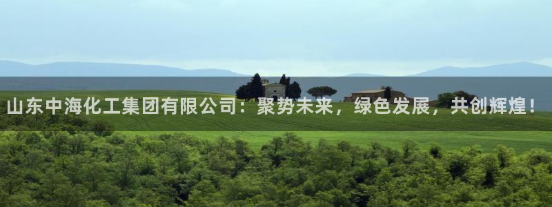 球盟会下载最新版：山东中海化工集团有限公司：聚势未来，绿色发