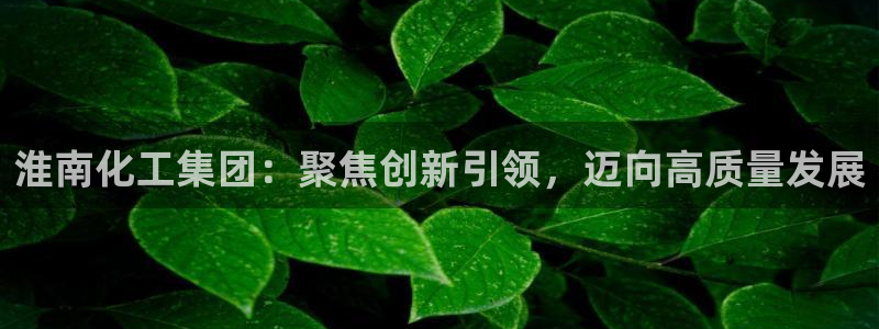 球盟会黑台：淮南化工集团：聚焦创新引领，迈向高质量发展