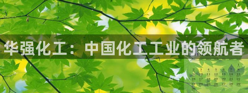 球盟会最新地址备用：华强化工：中国化工工业的领航者