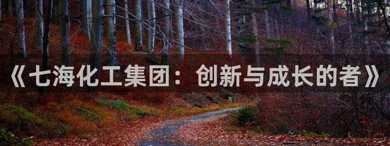 球盟会qmh电子网页版登录：《七海化工集团：创新与成长的者》