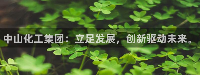 球盟会在线登入：中山化工集团：立足发展，创新驱动未来。