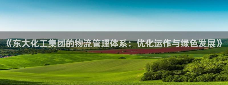球盟会平台会黑单吗：《东大化工集团的物流管理体系：优化运作与