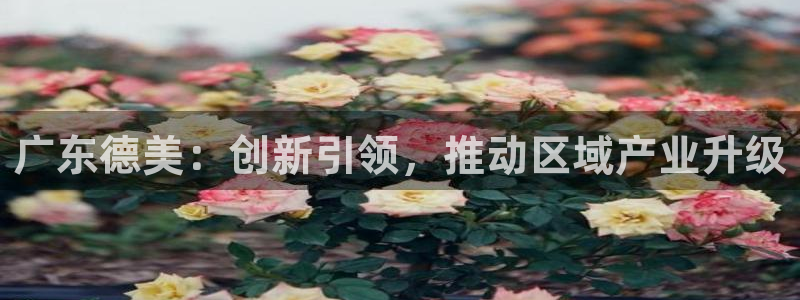 球盟会登录平台：广东德美：创新引领，推动区域产业升级