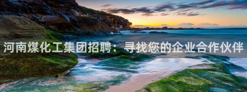 球盟会头号玩家