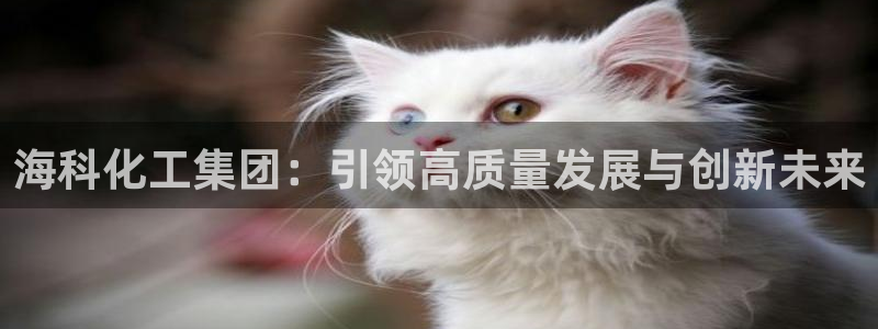 球盟会app：海科化工集团：引领高质量发展与创新未来