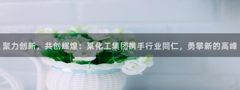 球盟会优惠码：聚力创新，共创辉煌：某化工集团携手行业同仁，勇